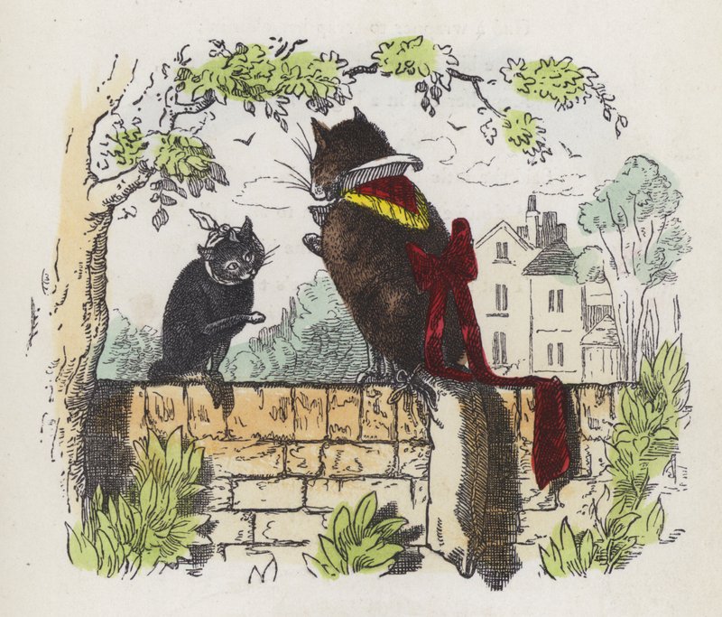 Két macska a kert falán (színes metszet) alkotó: Charles Henry (after) Bennett