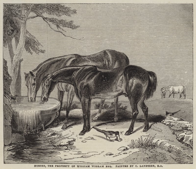Lovak, William Wigram, Esquire tulajdona. alkotó: Charles Landseer