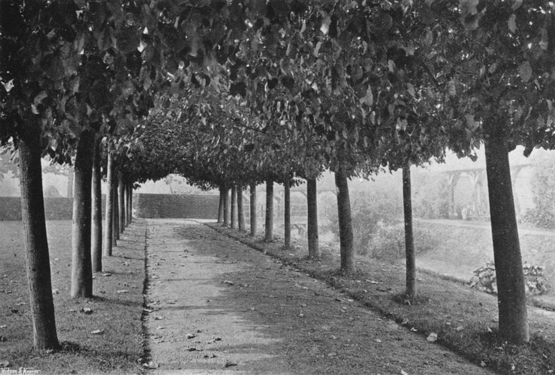 The Pleached Walk (f/w fotó) alkotó: Charles Latham