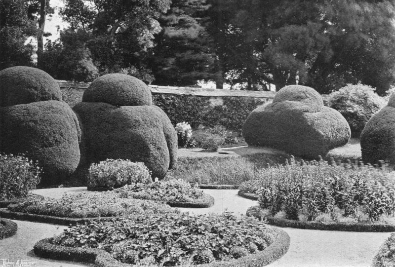 Az Ilex alatt alkotó: Charles Latham