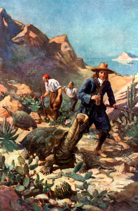 A Galápagos-szigetek óriásteknősei alkotó: Charles Mills Sheldon