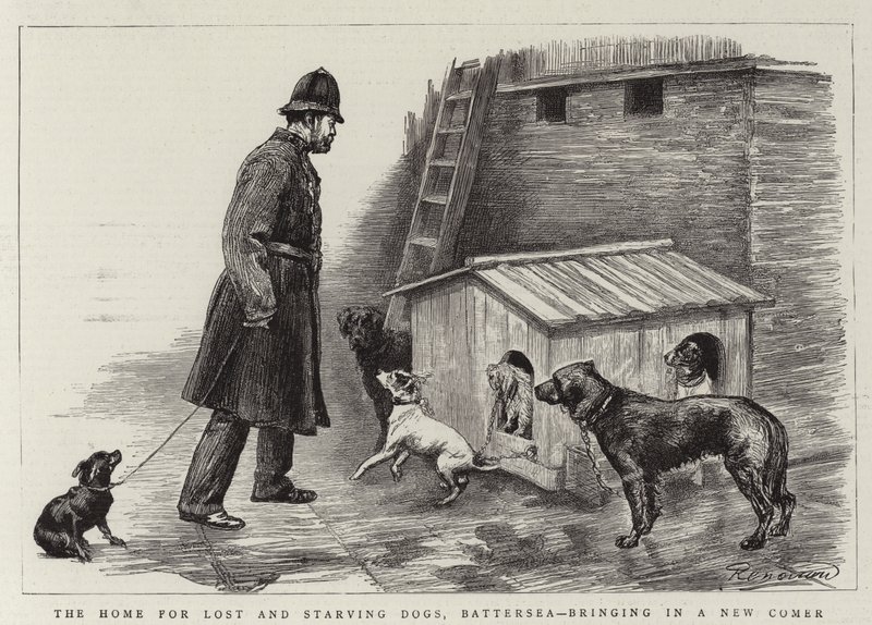 Az elveszett és éhező kutyák otthona, Battersea, új jövevényt hoz alkotó: Charles Paul Renouard