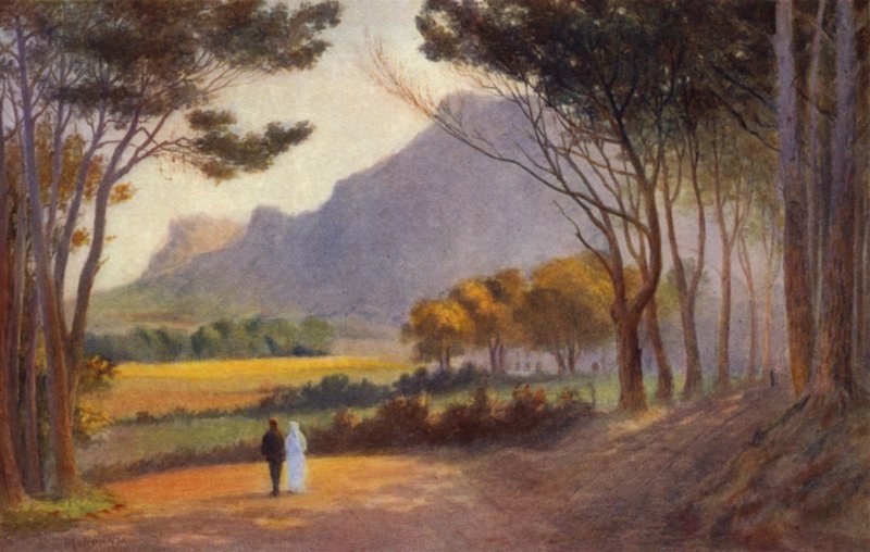Cape Peninsula, Dél-Afrika: Alphen (színes litho) alkotó: Charles Stephen Meacham