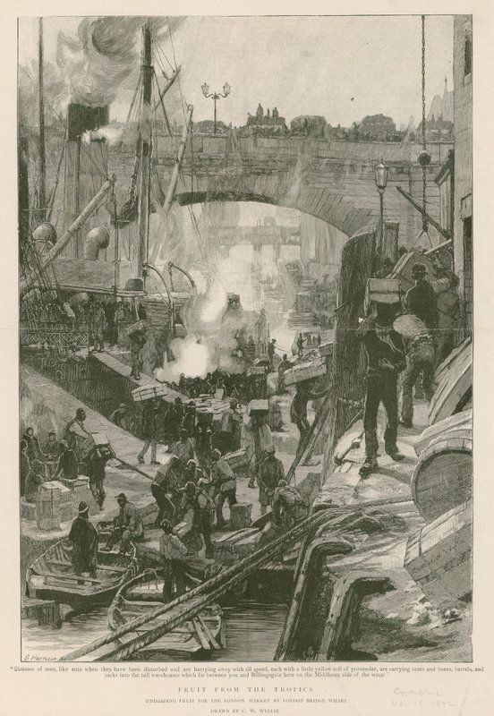 Gyümölcs a trópusokról (metszet) alkotó: Charles William Wyllie