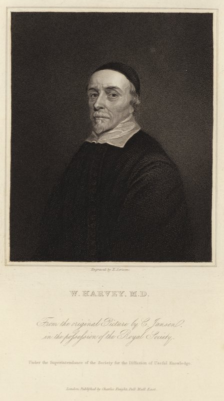 William Harvey alkotó: Cornelius Janssen van Ceulen