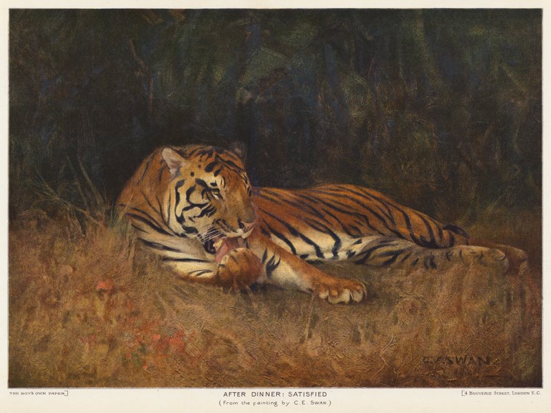 Vacsora után elégedett (színes litho) alkotó: Cuthbert Edmund Swan