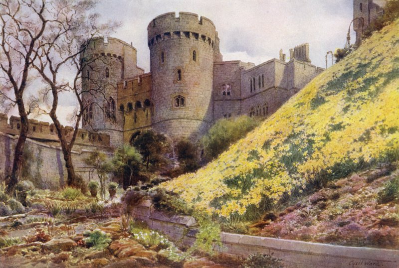 Nárciszok a kerek torony alatti dombon, a windsori kastély (színes litho) alkotó: Cyril Ward