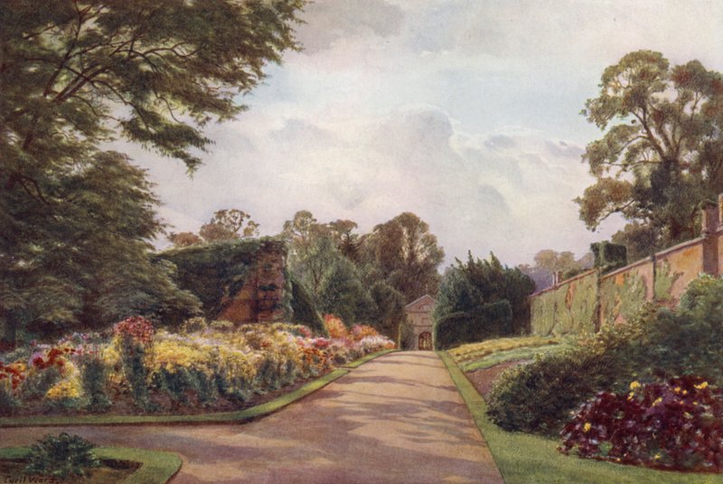 Korai krizantém, Claremont (színes litó) alkotó: Cyril Ward