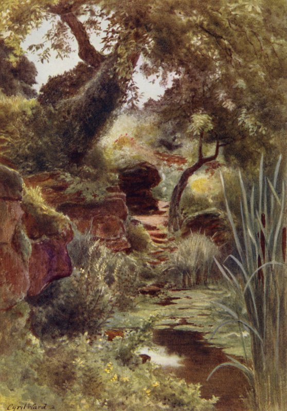 Part of the Rock Garden by the Upper Lake, Sandringham (colour litho)   1322141   hu       hungarian Successfully Translated  Original: The Little Sister (La Petite Soeur) Translat: The Little Sister (La Petite Soeur) 1249105 hu hungarian Successfully Tran alkotó: Cyril Ward