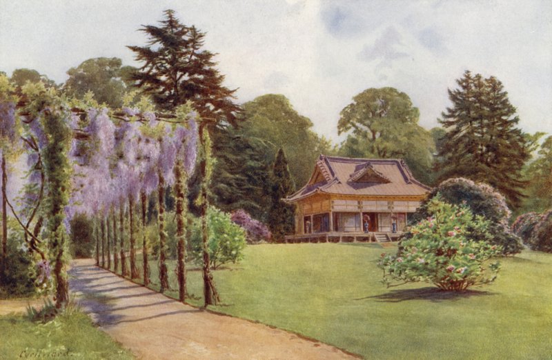 A japán ház és a Wistaria pergola, Bagshot Park (színes litó) alkotó: Cyril Ward