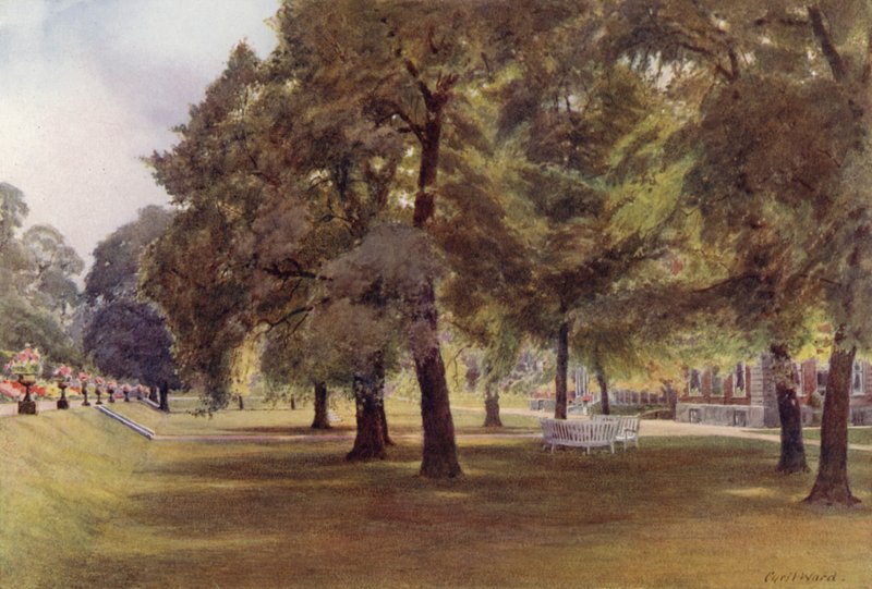 Fák a gyepen a Marlborough House-ban (színes litho) alkotó: Cyril Ward