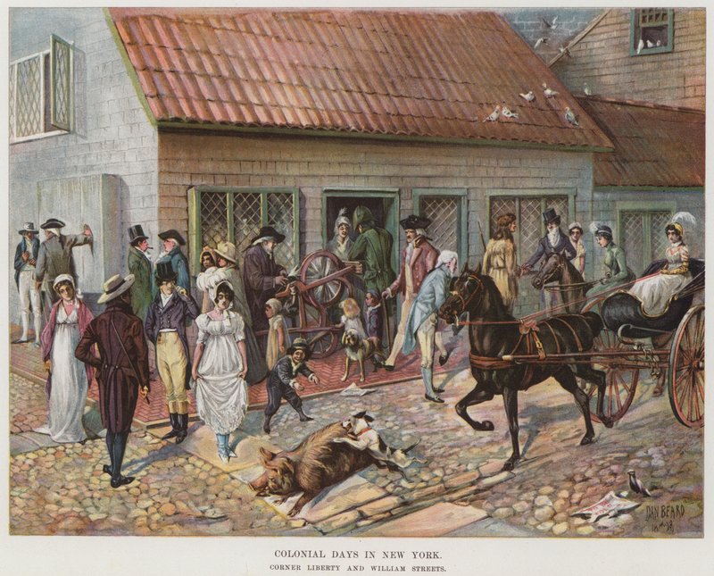 Gyarmati napok New Yorkban (színes litó) alkotó: Daniel Carter  Beard