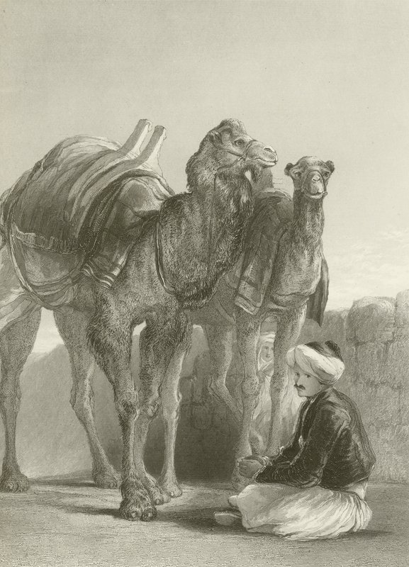 Egy csoport teve Szmirnában alkotó: David Wilkie