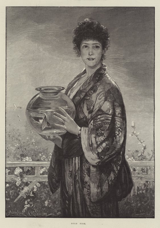 Aranyhal alkotó: Davidson Knowles