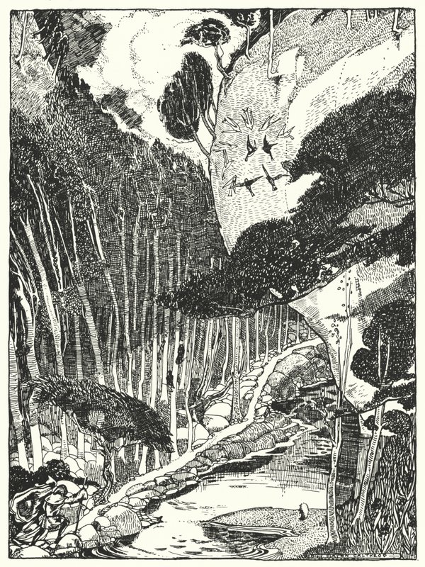 A homályos erdő (metszet) alkotó: Dion Clayton Calthrop