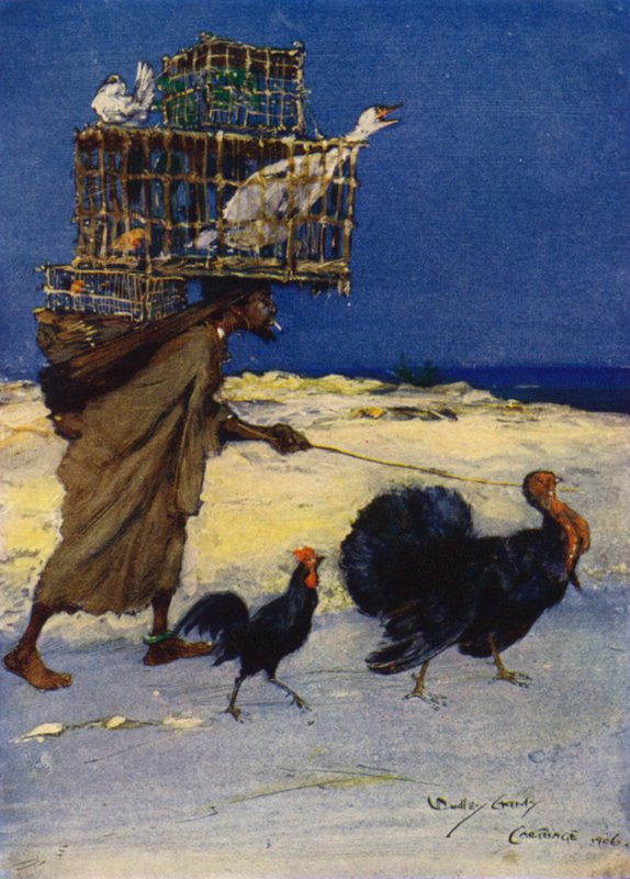 Madártenyésztő, Karthágó, Tunézia alkotó: Dudley Hardy