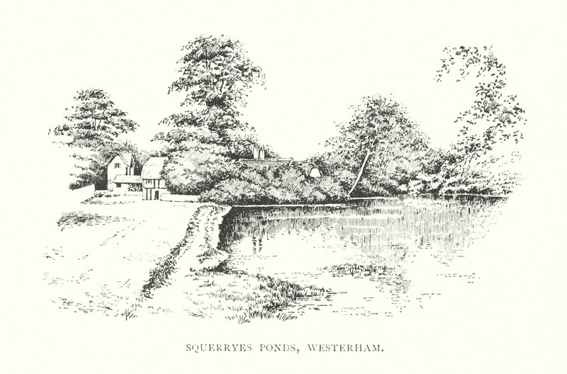 Squerryes Ponds, Westerham (litográfia) alkotó: Duncan Moul