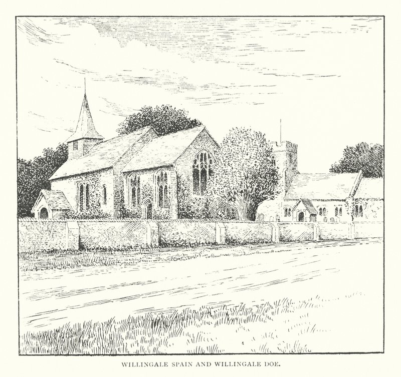 Willingale Spain és Willingale Doe (litho) alkotó: Duncan Moul