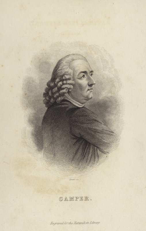 Peter Camper alkotó: Dutch School