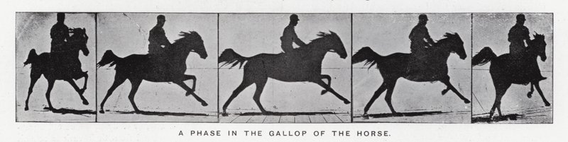 Eadweard Muybridge: Egy szakasz a ló vágtában (f/w fotó) alkotó: Eadweard Muybridge