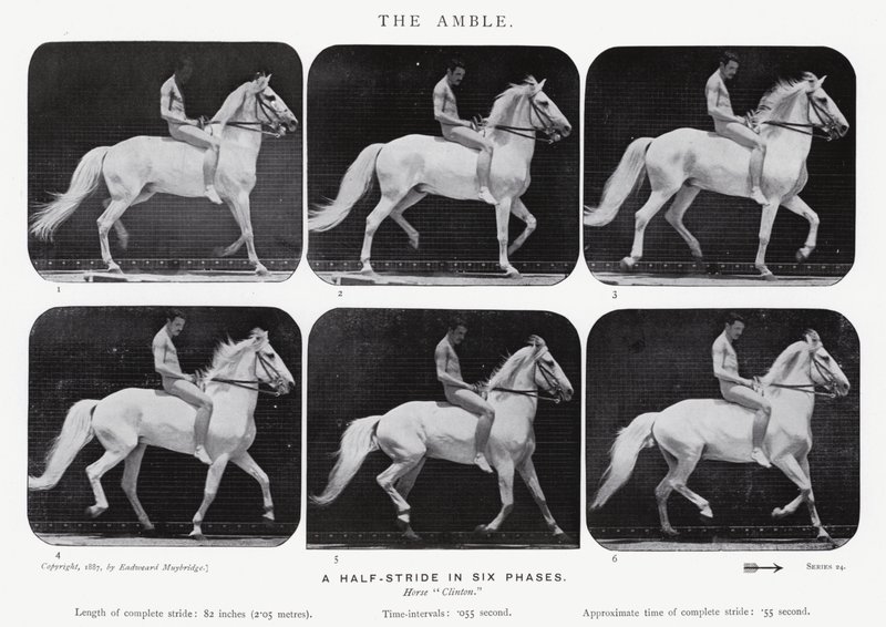 Eadweard Muybridge: The Amble alkotó: Eadweard Muybridge