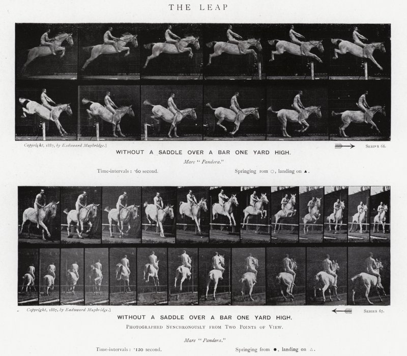 Eadweard Muybridge: Az ugrás (f/w fotó) alkotó: Eadweard Muybridge