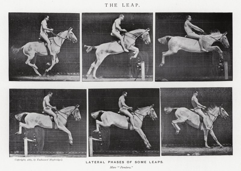 Eadweard Muybridge: Az ugrás (f/w fotó) alkotó: Eadweard Muybridge