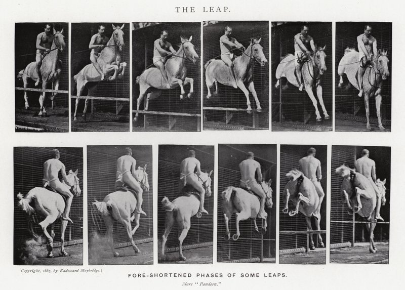 Eadweard Muybridge: Az ugrás (f/w fotó) alkotó: Eadweard Muybridge