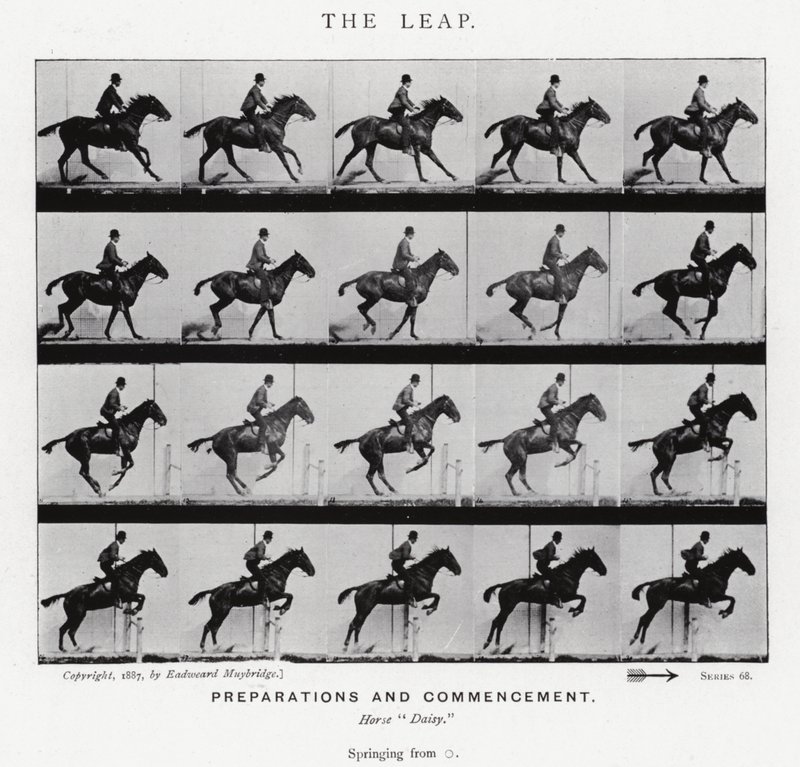 Eadweard Muybridge: Az ugrás (f/w fotó) alkotó: Eadweard Muybridge