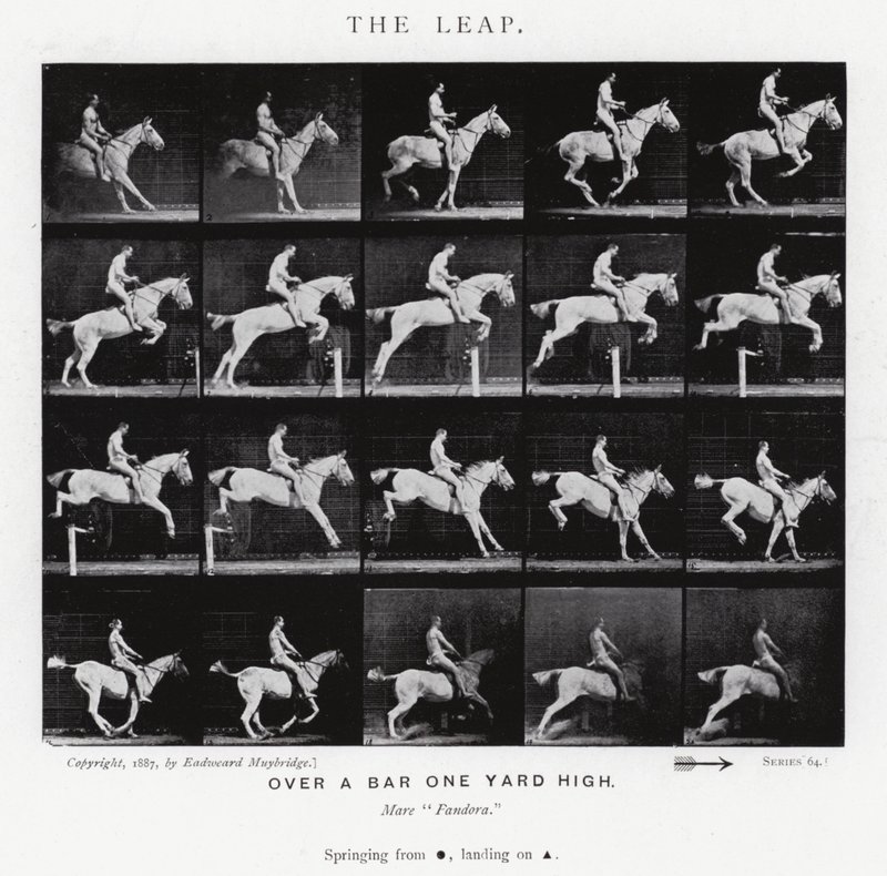 Eadweard Muybridge: Az ugrás (f/w fotó) alkotó: Eadweard Muybridge