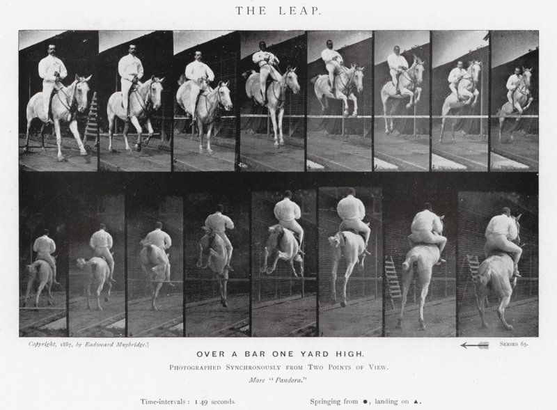 Eadweard Muybridge: Az ugrás (f/w fotó) alkotó: Eadweard Muybridge