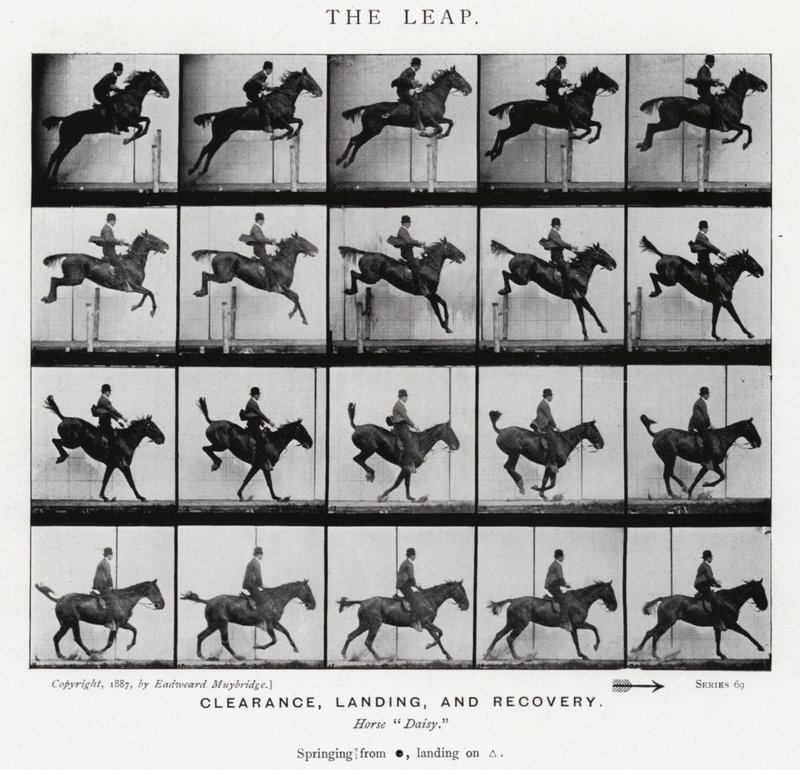 Eadweard Muybridge: Az ugrás (f/w fotó) alkotó: Eadweard Muybridge