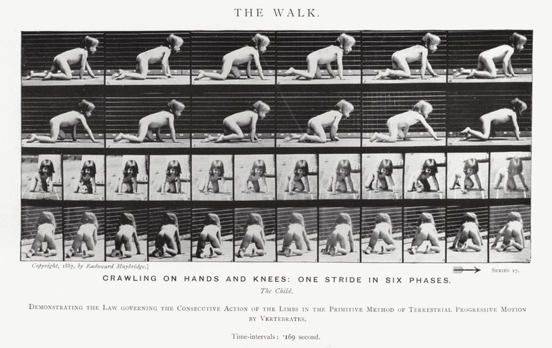 Eadweard Muybridge: The Walk (f/w fotó) alkotó: Eadweard Muybridge