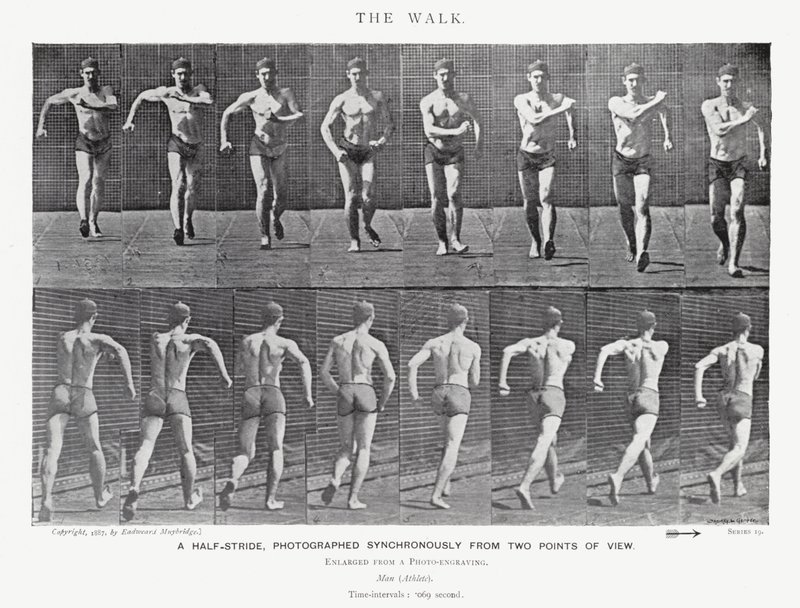 Eadweard Muybridge: The Walk (f/w fotó) alkotó: Eadweard Muybridge
