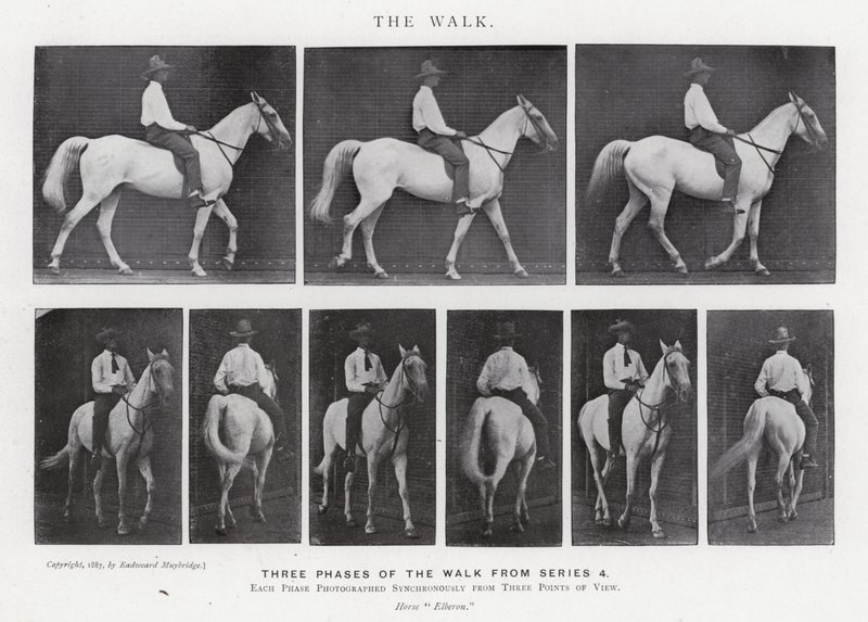 Eadweard Muybridge: The Walk (f/w fotó) alkotó: Eadweard Muybridge