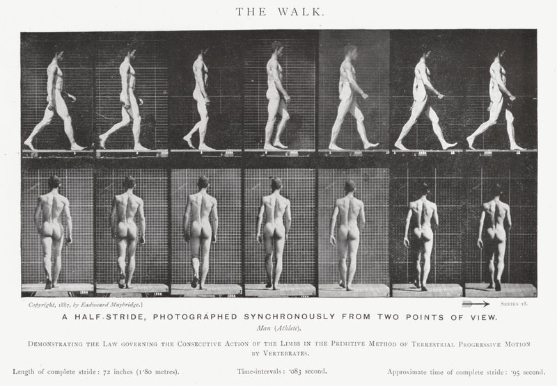 Eadweard Muybridge: The Walk (f/w fotó) alkotó: Eadweard Muybridge