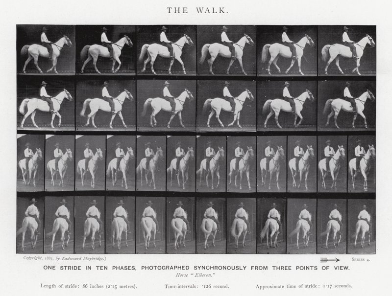 Eadweard Muybridge: The Walk (f/w fotó) alkotó: Eadweard Muybridge