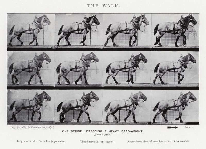 Eadweard Muybridge: A séta alkotó: Eadweard Muybridge
