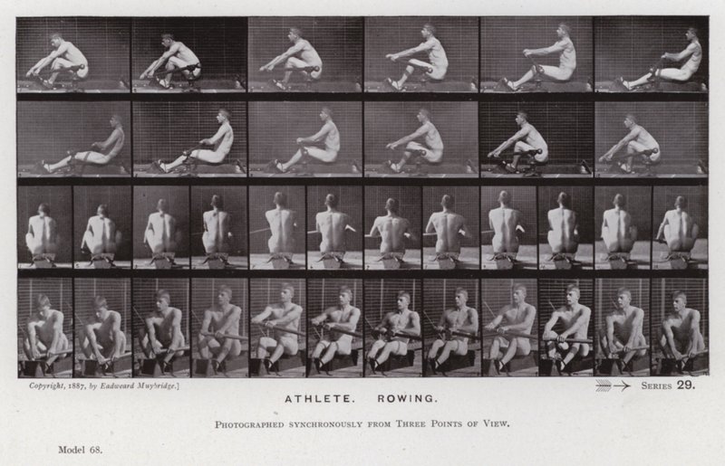 Mozgó emberalak: atléta, evezés (f/w fotó) alkotó: Eadweard Muybridge