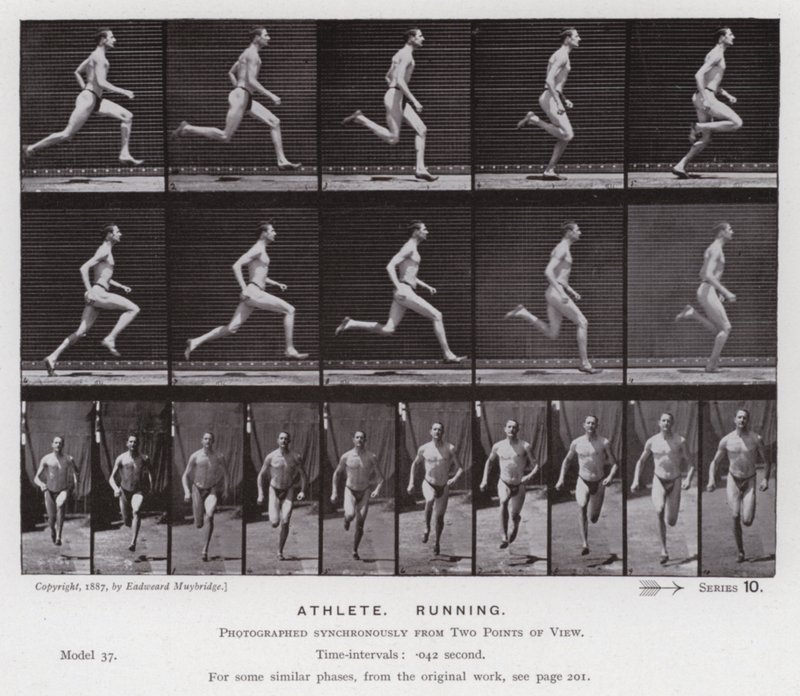 Mozgó emberalak: sportoló, futás (f/w fotó) alkotó: Eadweard Muybridge