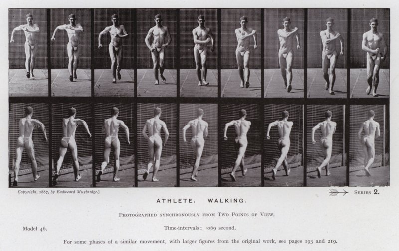 Mozgó emberalak: sportoló, gyalogló (f/w fotó) alkotó: Eadweard Muybridge