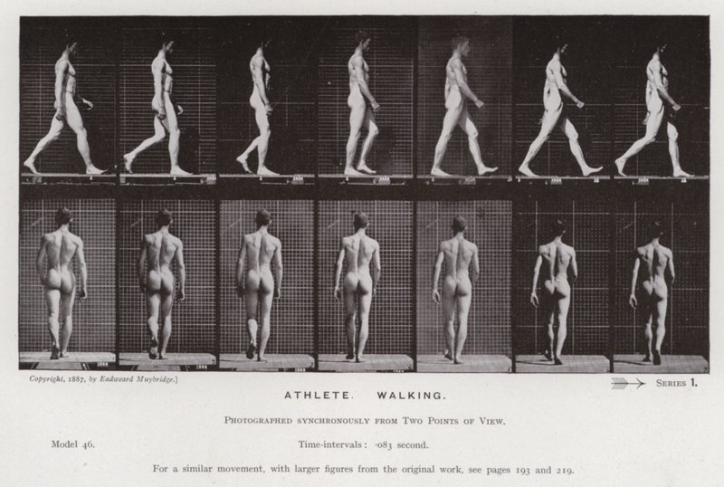 Mozgó emberalak: sportoló, gyalogló (f/w fotó) alkotó: Eadweard Muybridge
