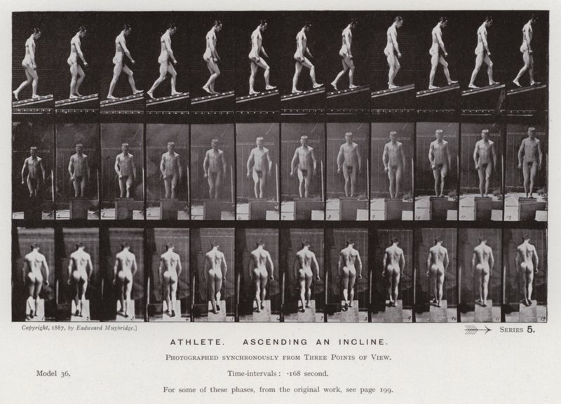 Mozgó emberalak: Sportoló, emelkedőn (f/w fotó) alkotó: Eadweard Muybridge