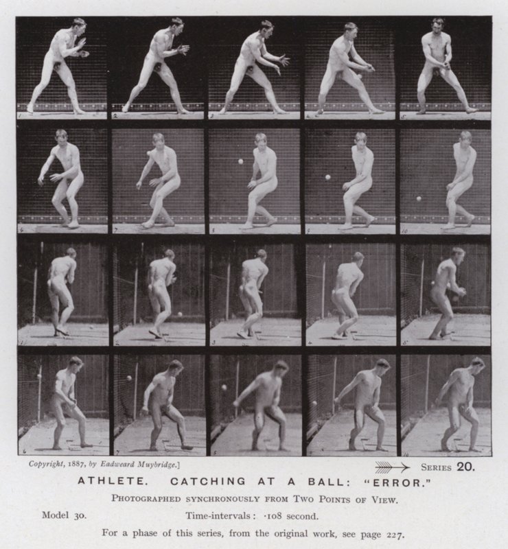 Mozgó emberalak: Sportoló, elkap egy labdát, "hiba" (f/w fotó) alkotó: Eadweard Muybridge