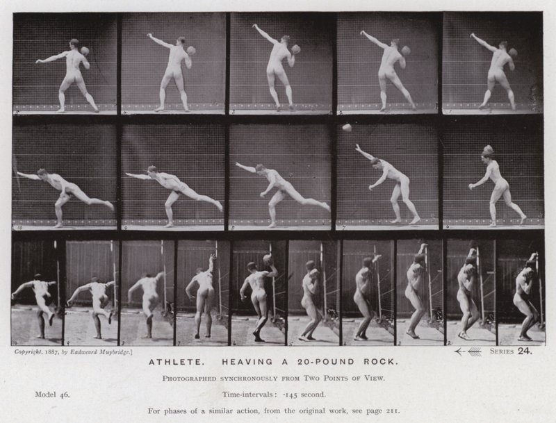 A mozgásban lévő emberi figura: Sportoló, aki egy 20 kilós sziklát dobál (f/w fotó) alkotó: Eadweard Muybridge