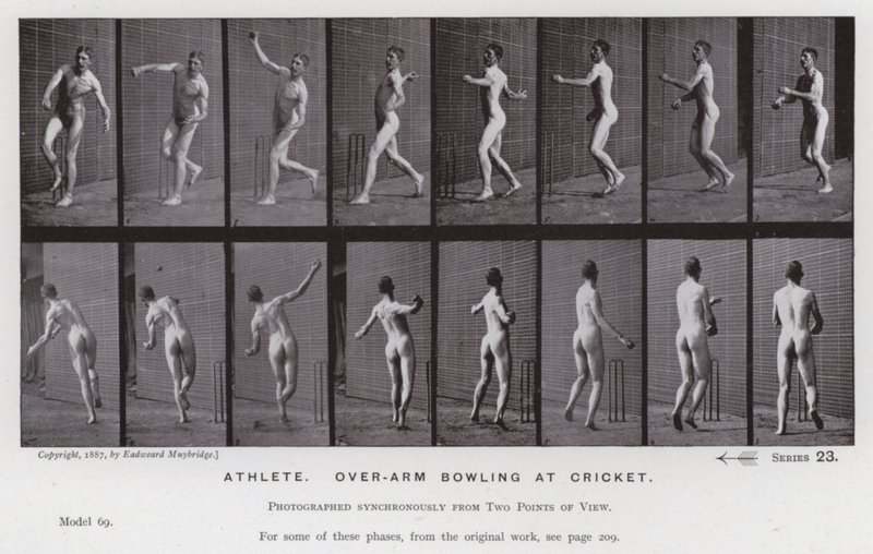A mozgásban lévő emberi alak: sportoló, krikettben tekerésben (f/w fotó) alkotó: Eadweard Muybridge