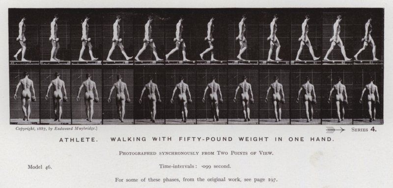Mozgó emberalak: sportoló, egyik kezében ötven kilós súllyal sétál (f/w fotó) alkotó: Eadweard Muybridge