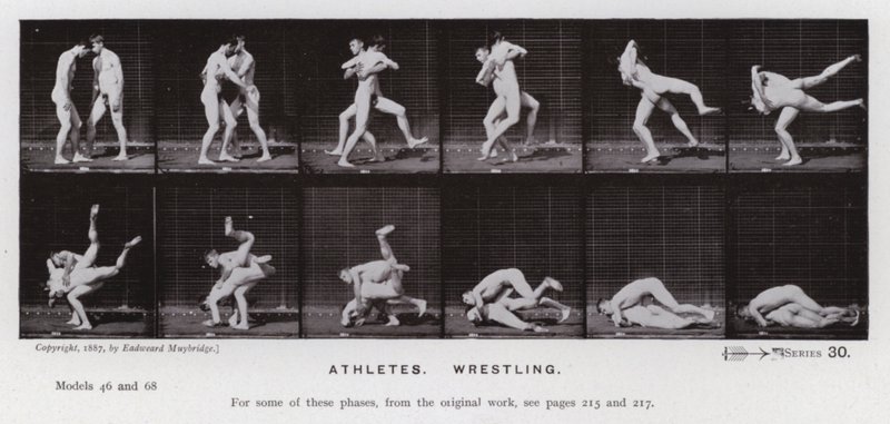 Mozgó emberalak: atléták, birkózás (f/w fotó) alkotó: Eadweard Muybridge