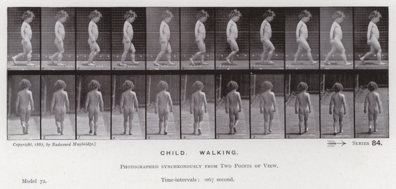 Mozgó emberi alak: Gyermek, sétál (f/w fotó) alkotó: Eadweard Muybridge