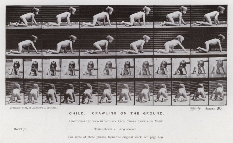 Mozgó emberalak: Gyermek, mászik a földön alkotó: Eadweard Muybridge